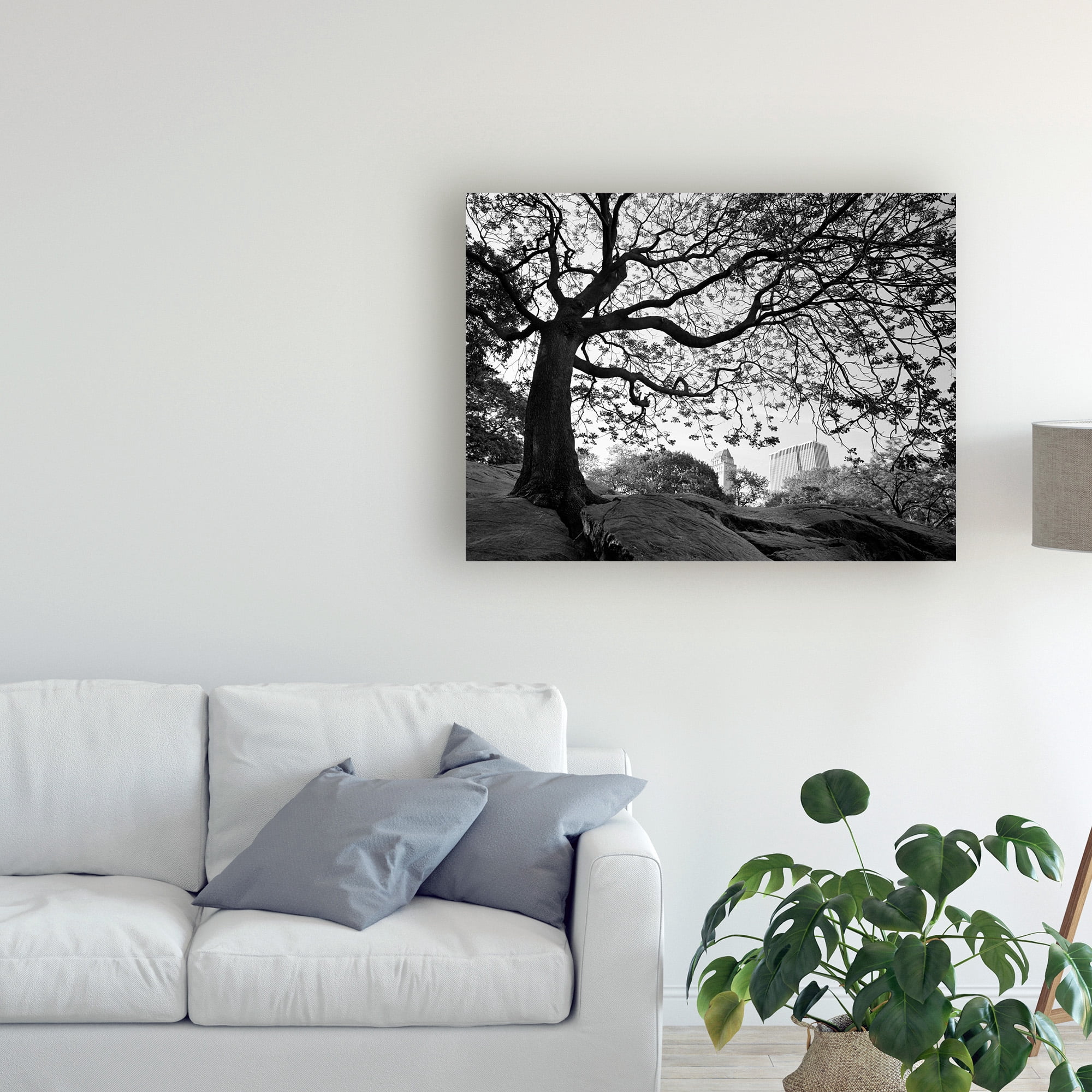 Trademark Fine Art 'Central Park New York New York' Canvas Art by Monte Nagler