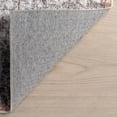 thumbnail image 3 of nuLOOM Iana Medallion SplashGuard Machine Washable Area Rug, 2' 6" x 6', Runner, Iana Peach, 3 of 11