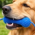 thumbnail image 6 of Interactive Dog Toys, Dog Dental Chew, Puppy Chew Toys for Oral, Rubber Chew Toys for Dogs, 4X2 in 1 Pc Nubby Spiky Quick Brushing Dog Oral Bite Stick with Attached Tug Strap for, 6 of 8