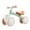 green, variant on Baby Balance Bike for 1 Year Old 12-36 Months, 4-Wheel Toddler Bike Adjustable Seat Training Wheels, Birthday Gifts Boys Girls, Pink
