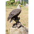 thumbnail image 4 of Hi-Line gift Ltd Bald Eagle on Stump Statue, 4 of 5