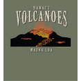 thumbnail image 2 of Adventure Society Hawaii Volcanoes Adult Olive Long Sleeve Hoodie-Small, 2 of 3