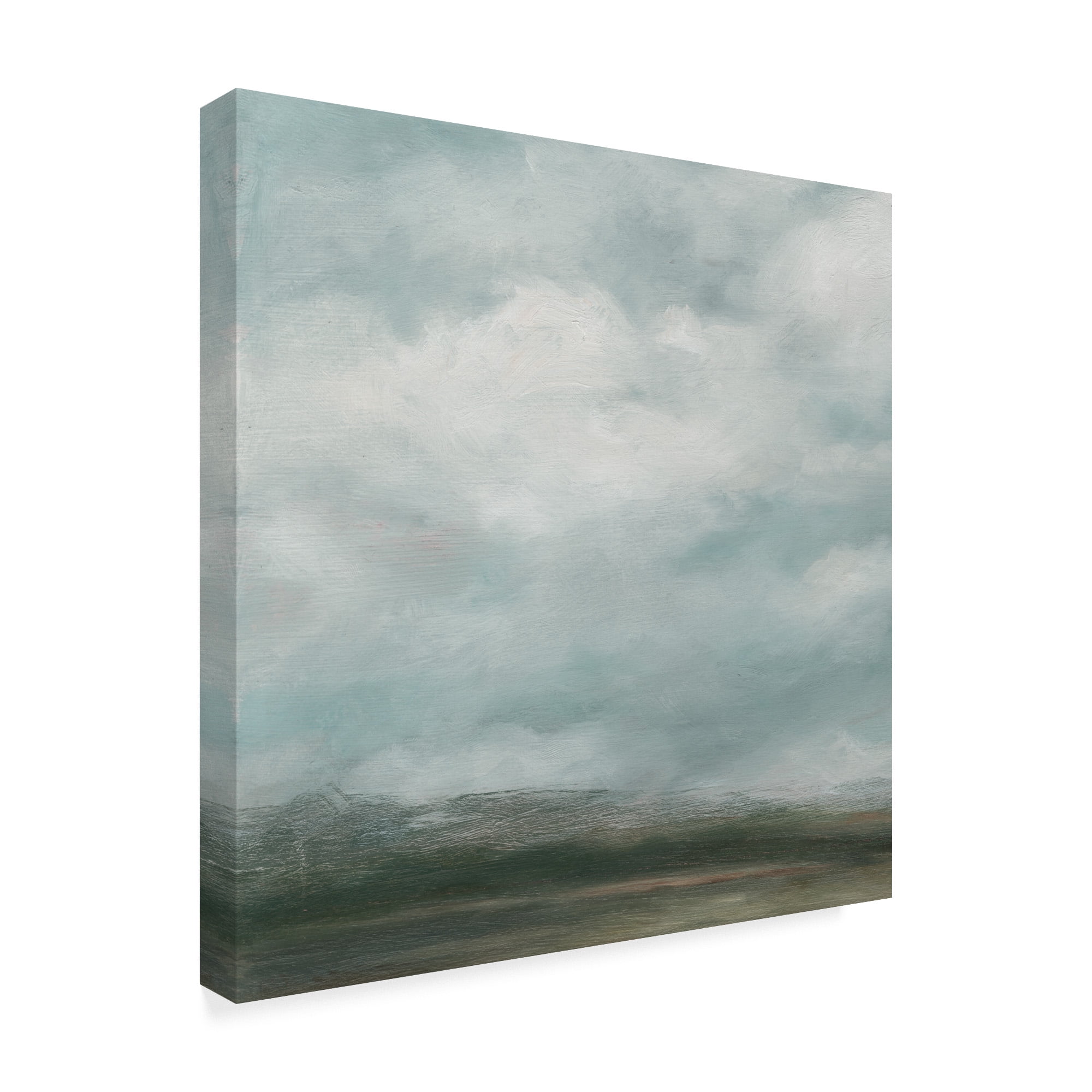 Trademark Fine Art 'Cloud Mist I' Canvas Art by Ethan Harper