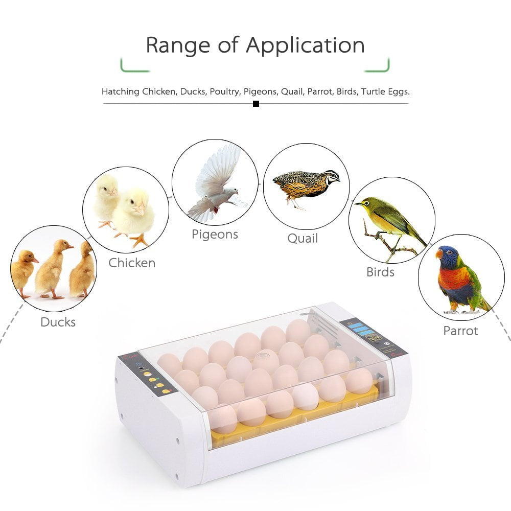 chicken incubator temperature chicken incubator temperature
