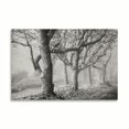 thumbnail image 2 of Gango Home Decor Tree in the Mist B&W by Vitaly Geyman (Printed on Paper); One 36x24in Fine Art Paper Giclee Print, 2 of 4