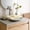 Corallina, variant on Native Trails Lido Bathroom Sink With Beachcomber Finish MG1515-BR