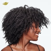 Dove Curl Cream for Curly, Coily Hair Amino Curl with Bio-Protein Care Technology + Amino Complex, 8 Fl Oz