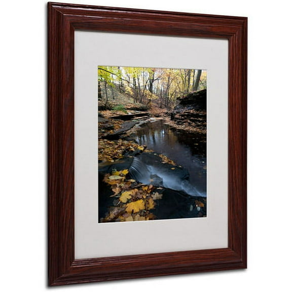 Trademark Fine Art "Autumn Stream" Canvas Art by Kurt Shaffer, Wood Frame