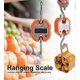 thumbnail image 2 of Mini Portable Electronic Scale Crane Scale LCD Digital Scale for Hanging Pig Sheep Livestock Hook 300lb/150Kg (Color : Black, Size: 150kg/50g), 2 of 4