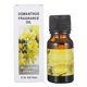 thumbnail image 3 of Recambio Perfume para Coche Ambientador Aceite Esencial Humidificador Plantas 10ML (Osmanthus), 3 of 4