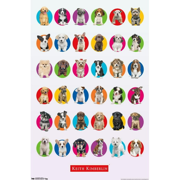 Keith Kimberlin - Puppy Grid Wall Poster, 22.375" x 34"