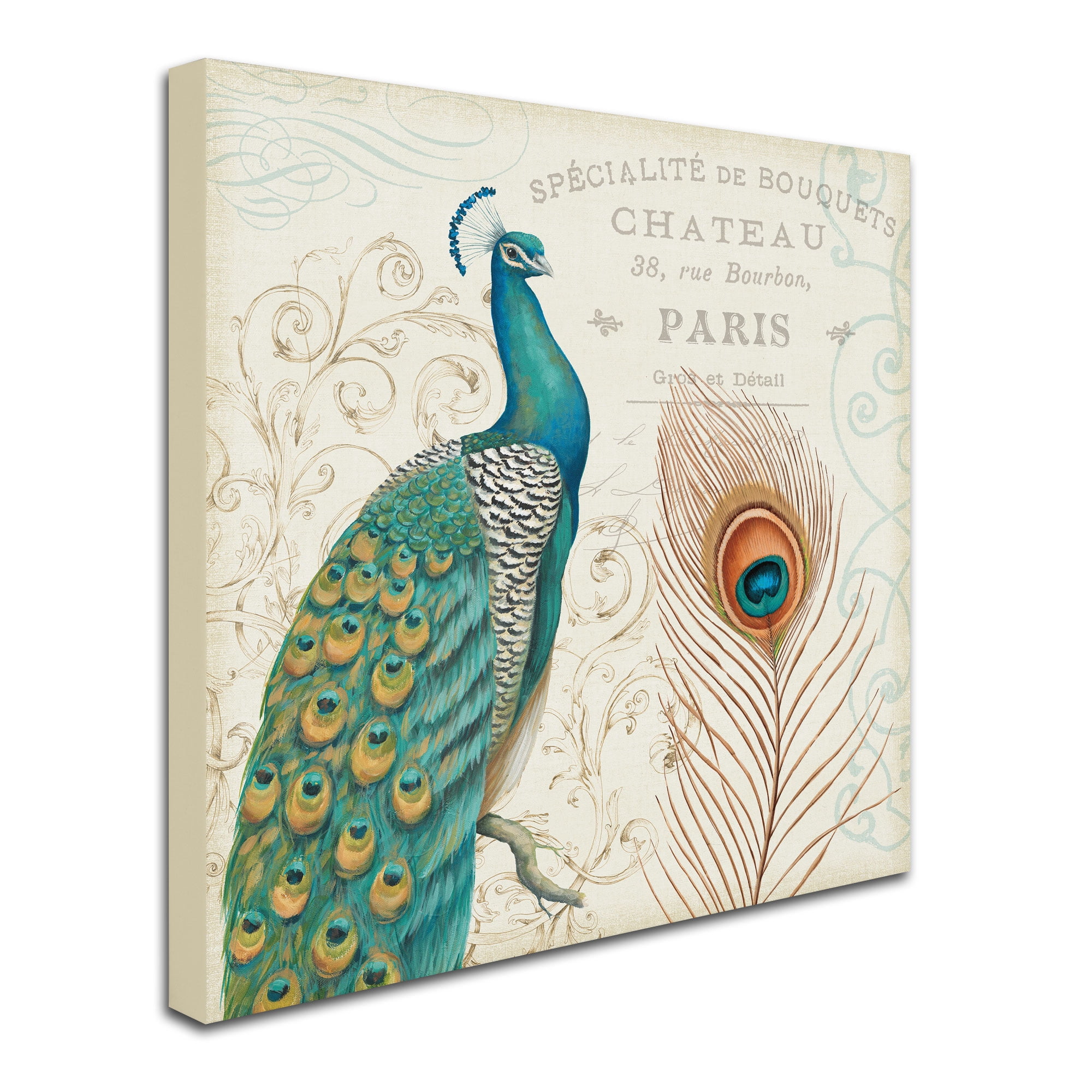 Trademark Fine Art "Majestic Beauty I Square" Canvas Art by Daphne Brissonnet
