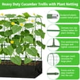 thumbnail image 2 of ROMUCH 67"x 45"  Arch Cucumber Trellis with Grow Bags, Metal Garden Trellis for Climbing Plants Outdoor with Planter Box Tomato Cage Netting for Vegetables Flowers Fruits, 2 of 9
