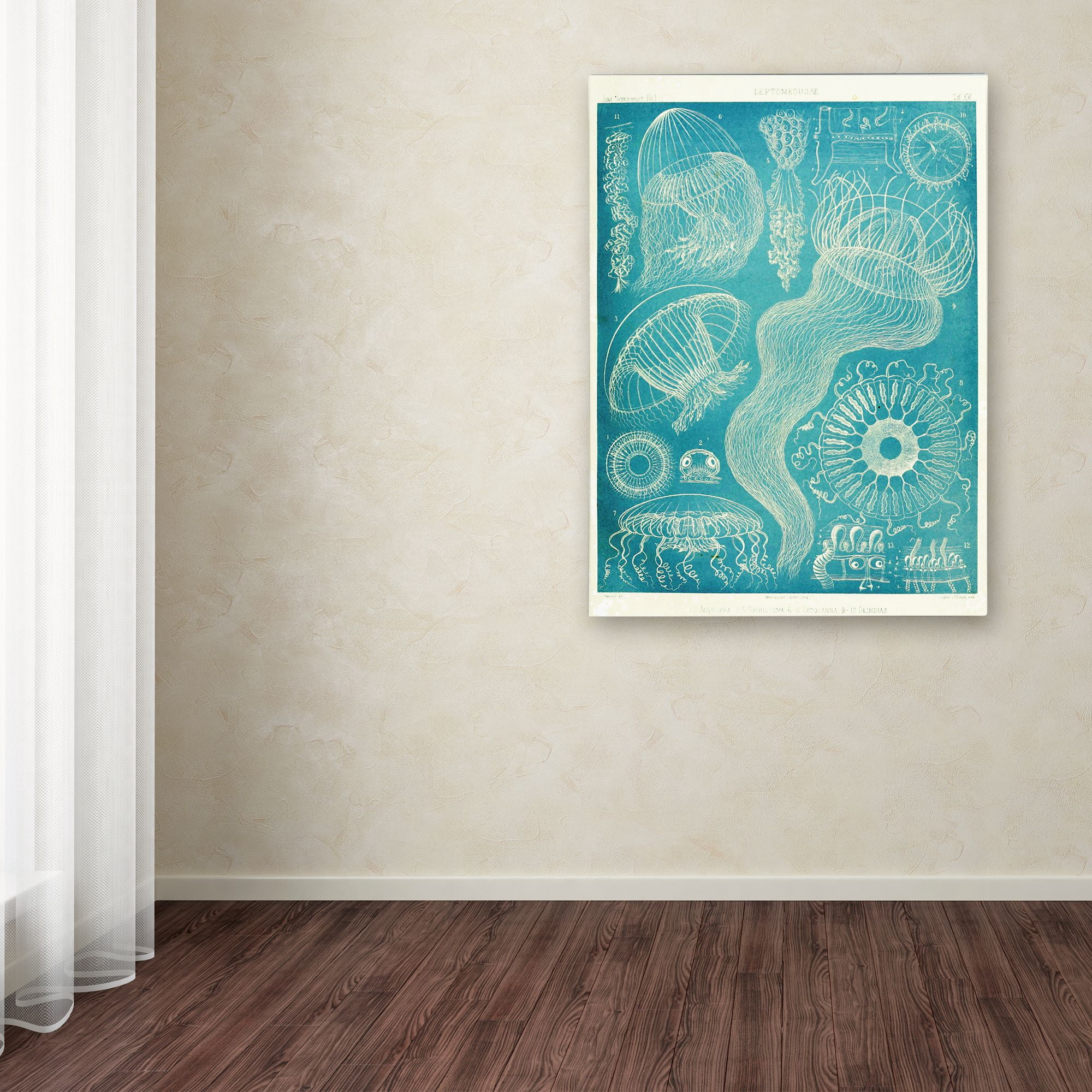Trademark Fine Art 'Jellyfish Sealife' Canvas Art by Vintage Apple Collection