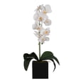 thumbnail image 1 of Maceta Iko-An Maxi Orquidea artificial blanca, 1 of 4