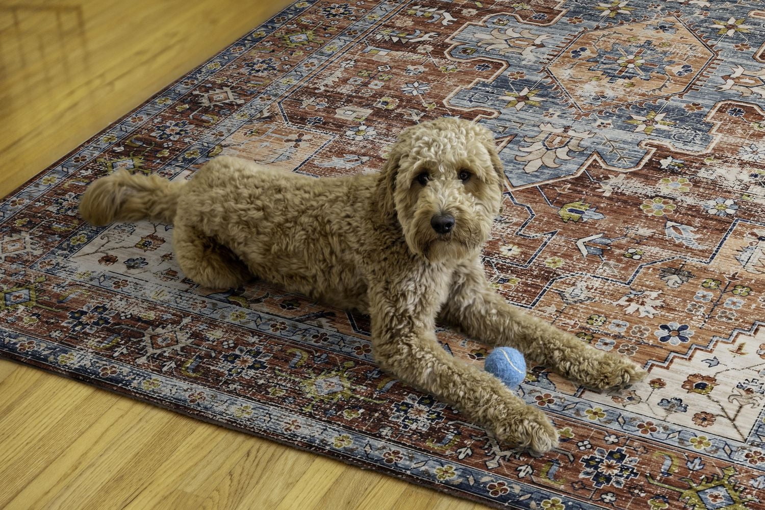 Carter 5' x 7' Washable Area Rug, Rust and Ivory