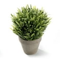 thumbnail image 6 of K-Cliffs Mini  Faux  Green Grass Tabletop Plant for Home Decor, Dimensions: 6.5L x 6.5W x 9.1H inches, 6 of 8