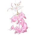 thumbnail image 1 of Colgante de Dulces con Plumas Decoración para hogar Ornamento Hecho Rosa CUTICAT Dream Catcher, 1 of 7