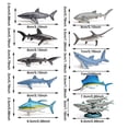 thumbnail image 3 of Wall Decor Durable Material Table Centerpiece Ornament Maintenance Free Long Lasting Model Pelagic Fish Early 10 Animal Simulation World Toys Marine Education Decoration Decoration Education, 3 of 7