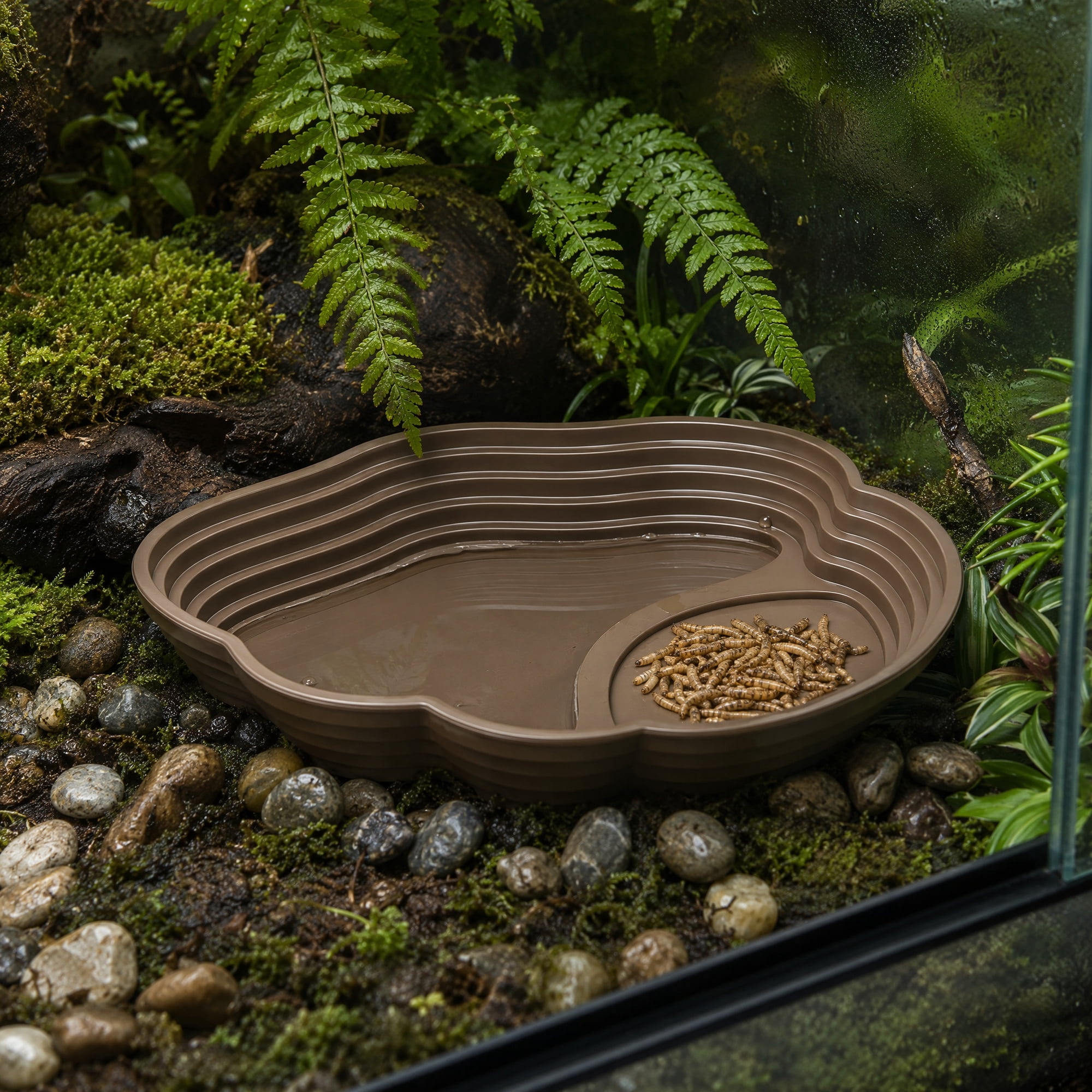 Mobestech Durable Dark Brown Plastic Turtle Bowl Reptile Feeding Dish with Splash Proof Splash Guard