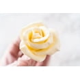 thumbnail image 6 of Bakerpan Bright White Modeling Chocolate - 1 Pound - Sculpt Cakes, Model Figurines, and Create Cake Toppers, 6 of 6