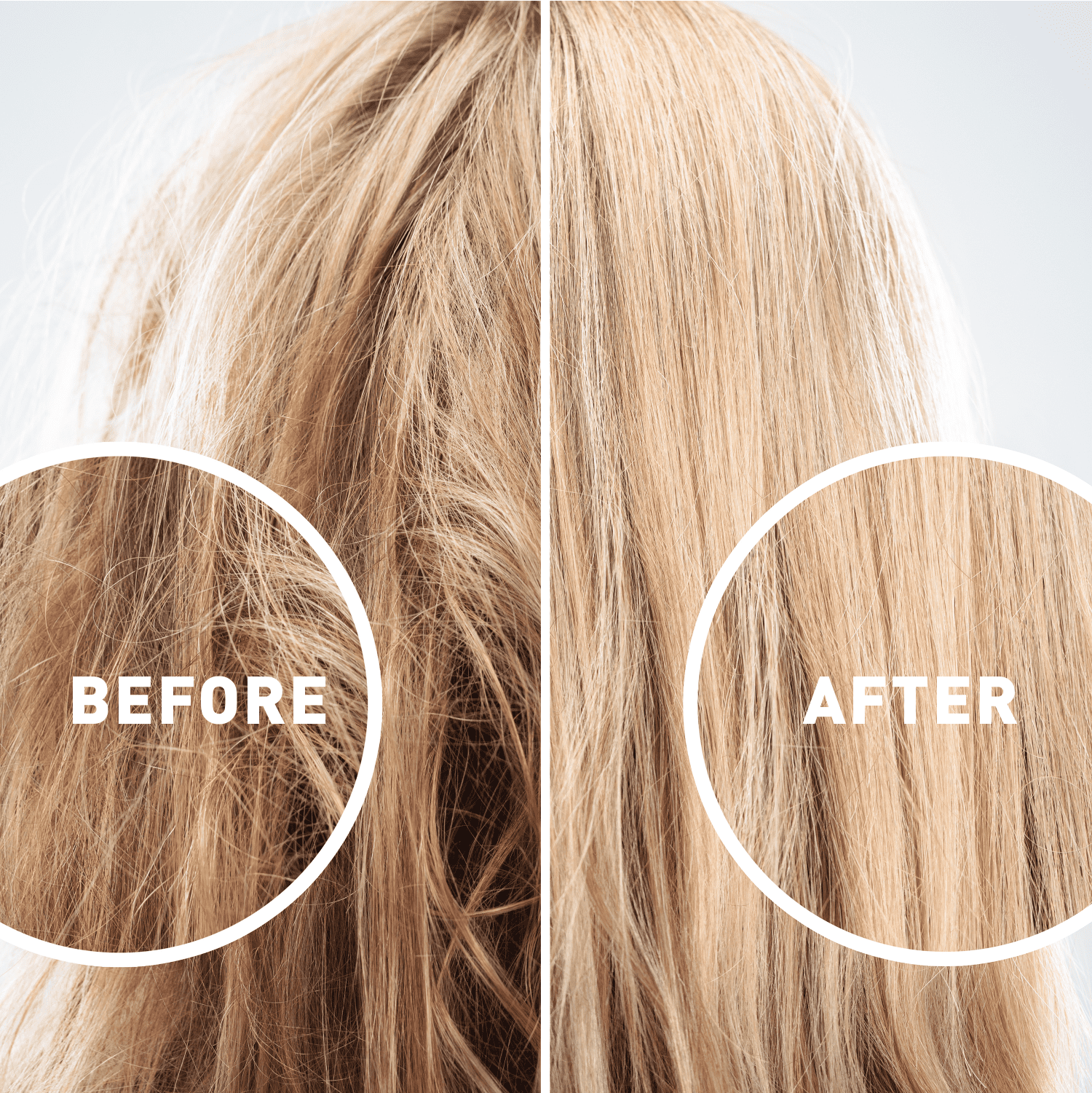 Just Nutritive Purple Hair Shampoo, Gray, White, Silver, Bleached Hair - Neutralizes Brassiness, Sulfate-Free, 8 oz