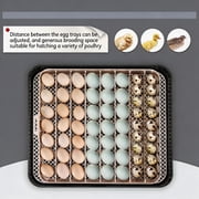 Adnoom 56 Egg Incubator Chicken Incubators for Hatching Eggs with Automatic Egg Turner and Humidity Temp Control, Egg Hatcher Incubator with Egg Candler for Chicken Ducks Bird Quail