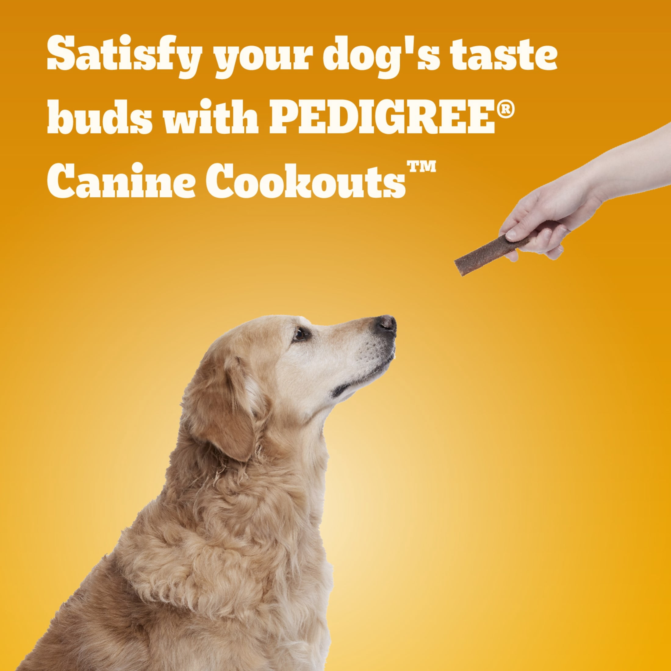 Pedigree Canine Cookout Soft Dog Treats, Chicken Flavored Meaty Strips, 18.2 oz Bag