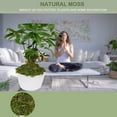thumbnail image 2 of ZYAPA 10OZ Fake Moss Artificial Moss for Potted Plants Greenery MossHome Decor Fairy Garden Crafts Wedding Decoration (Fresh Green), 2 of 6