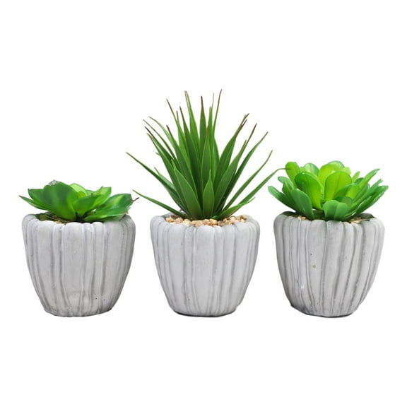 Set Of 3 Realistic Artificial Botanica Fern Succulents Plant In Grey Cement Pots