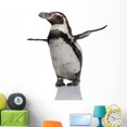 thumbnail image 1 of Humboldt Penguin Standing Front Wall Decal by Wallmonkeys Peel and Stick Graphic (48 in H x 47 in W) WM333530, 1 of 4