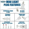 thumbnail image 7 of Novelty Lights Clear 50 Light Incandescent Mini Christmas String Lights White Wire 11 Feet, 7 of 7