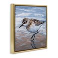 thumbnail image 3 of Stupell Industries Sand Piper Shore Painting Gold Framed Floater Canvas Wall Art design by Lindsay Kivi Fine Art, 25 x 25, 3 of 9