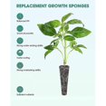 thumbnail image 3 of 50 Pack Grow Sponges, Seed Starter Pods Replacement Root , Refill Pods For Hydroponic Indoor Garden, 3 of 5