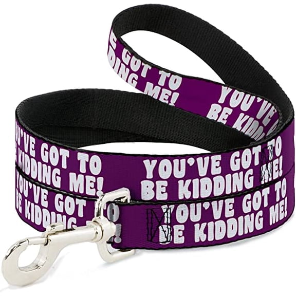 Dog Leash Youve Got to Be Kidding Me Purple White 4 Feet Long 0.5 Inch Wide