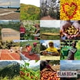 thumbnail image 6 of Colombia - Decaf - Roasted by Bolt Coffee Co. - Whole Bean Coffee - 10oz Bag, 6 of 7