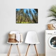 thumbnail image 3 of Giant Sequoia Trees Canvas Wall Art, Redwood Forest Print, Tall California Trees Artwork for Living Room Bedroom Office Decor, Ready to Hang, 3 of 6