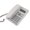White, variant on Corded Phone Office Telephone With Caller Display Landline Telephones Big Button
