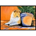 thumbnail image 1 of Carolines Treasures SS8667MAT 18 x 27 Po Sheltie Paillasson Intérieur Extérieur, 1 of 4