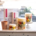 thumbnail image 3 of Rosy Rings Botanical Reed Diffuser  Peony and Pomelo 13 oz, 3 of 4