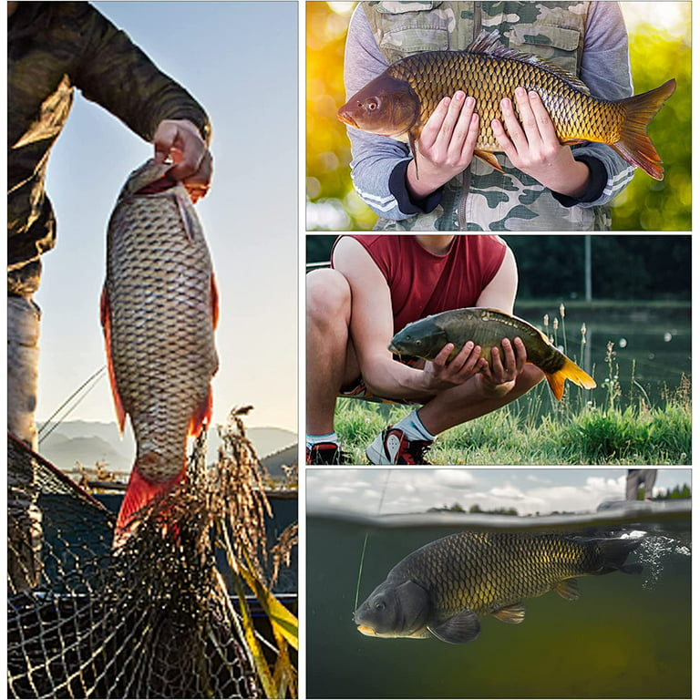 carp fishing tackle, carp fishing tackle Suppliers and Manufacturers at