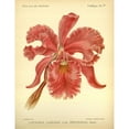 thumbnail image 3 of Goossens, A. 12x14 Black Modern Framed Museum Art Print Titled - Orchid, Catlleya Labiata, 3 of 5