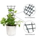 thumbnail image 4 of Bewildely 6x soporte negro para plantas DIY para una protección eficaz de las plantas adecuado para varias plantas trepadoras Jardín y Patio, 4 of 6