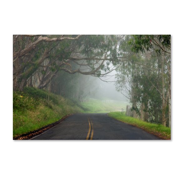 Trademark Fine Art 'Foggy Road near Dillon Beach' Canvas Art by Mike Jones Photo
