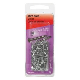 Hillman 3/4 in. Wire Bright Steel Nail Flat Head Hillman 3/4 in. Wire Bright Steel Nail Flat Head