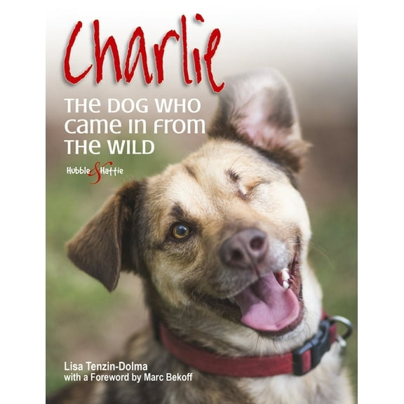Charlie: The Dog Who Came in from the Wild, (Paperback)