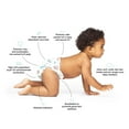 thumbnail image 5 of Hello Bello Premium Diaper Mystery Box, Toddler Size 5, 144ct (Select for More Options), 5 of 10