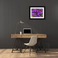 thumbnail image 3 of Grayscale 18x15 Black Ornate Wood Framed with Double Matting Museum Art Print Titled - Flower Spot II, 3 of 4