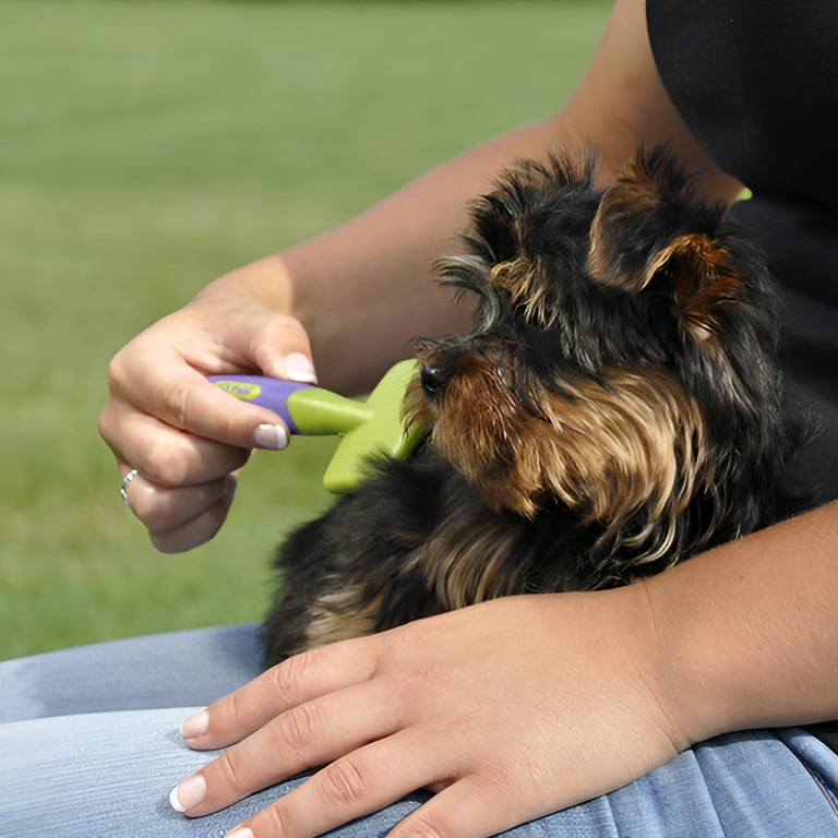 Lil Pals Soft Grooming Slicker Brush for Doggy Hair Shedding - Main Image