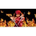 thumbnail image 2 of Elektra Photo License Plaque, 2 of 2